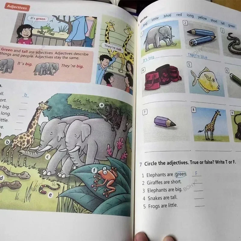 6 Книги 1-6 клас Оксфордска граматика Приятели на английски език За деца Научете английски Четене Книга с картинки Начално училище Работна книга Учебник