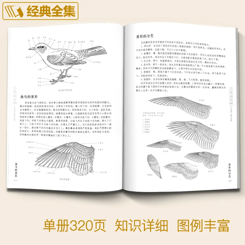 Нова колекция от 5000 китайски линейни рисунки Книга II Bird&Beast книжка за оцветяване за възрастни Арт справочник 16K